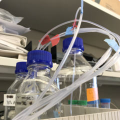 buffer solutions for chromatography