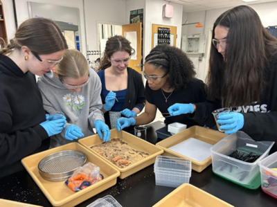 students preparing samples