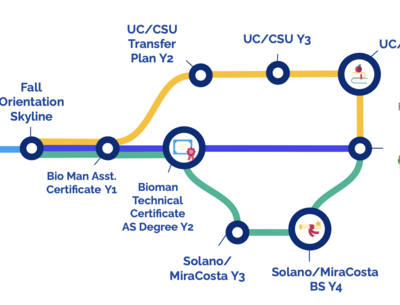 pathway diagram