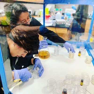 pouring agar plates