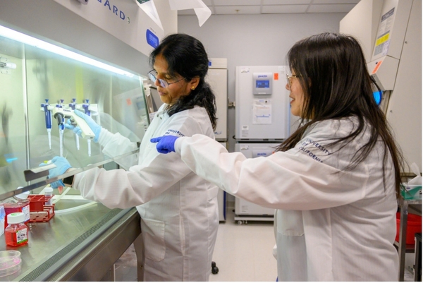 Students doing cell culture